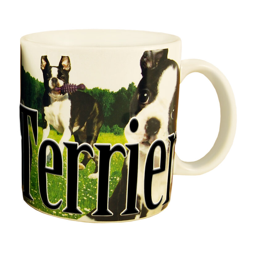 Alternative view of Boston Terrier Color Relief Mug