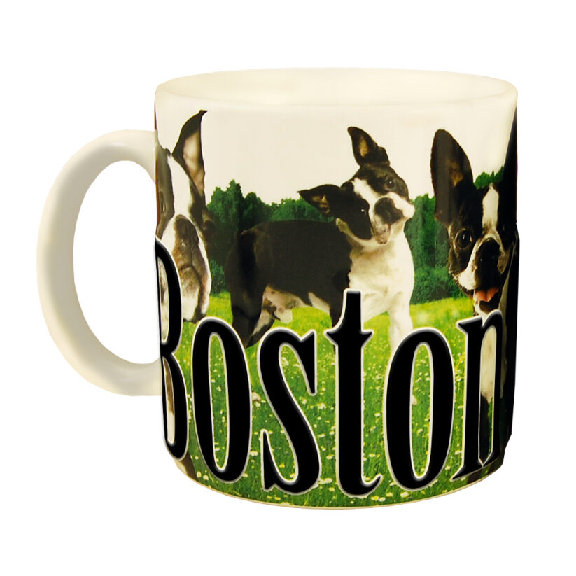 Boston Terrier Color Relief Mug