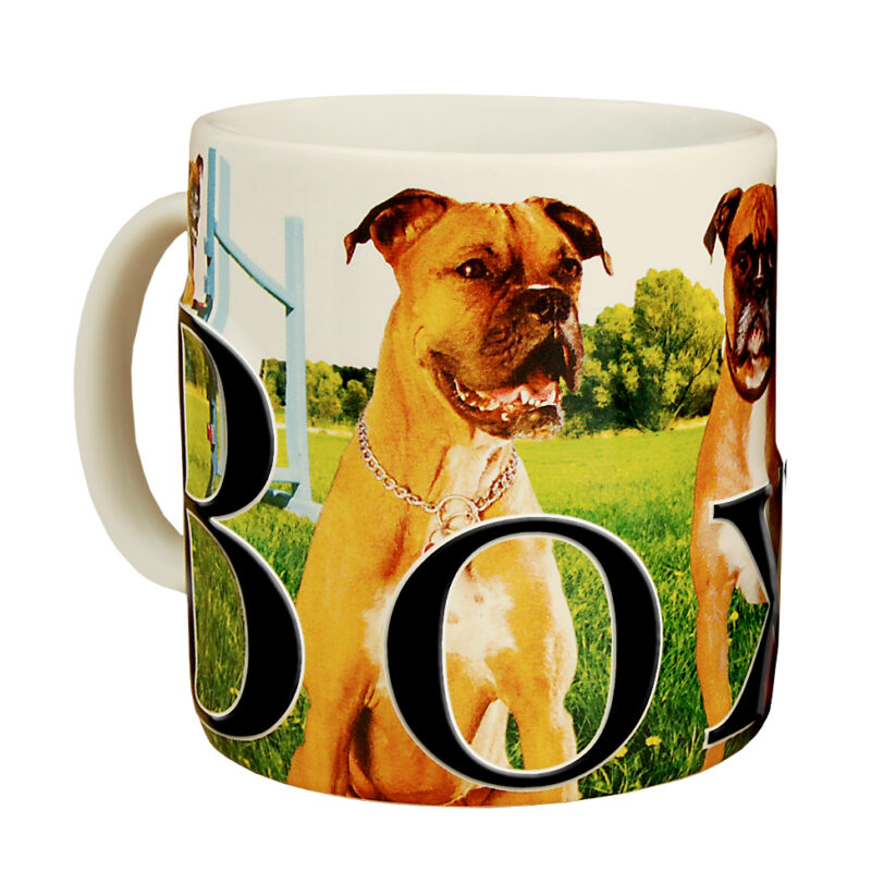 Boxer Color Relief Mug