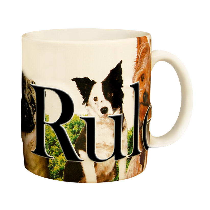 Alternative view of Dogs Rule Color Relief Mug