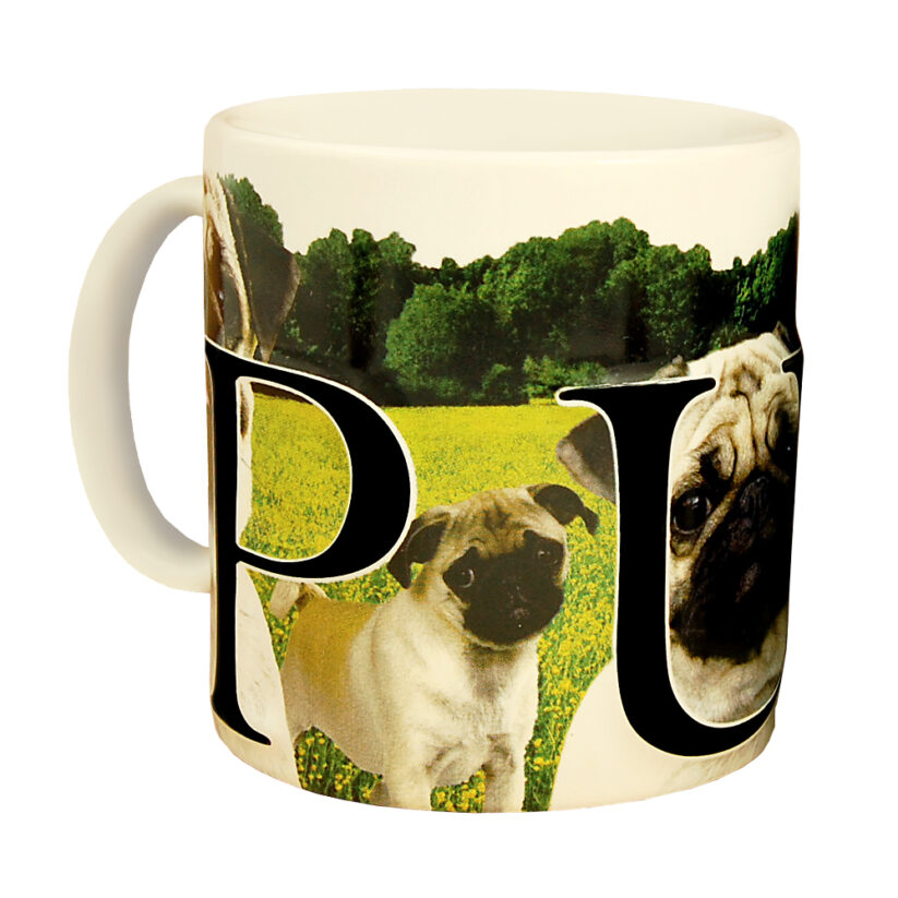 Pug Color Relief Mug