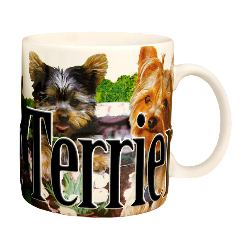 Alternative view of Yorkshire Color Relief Mug