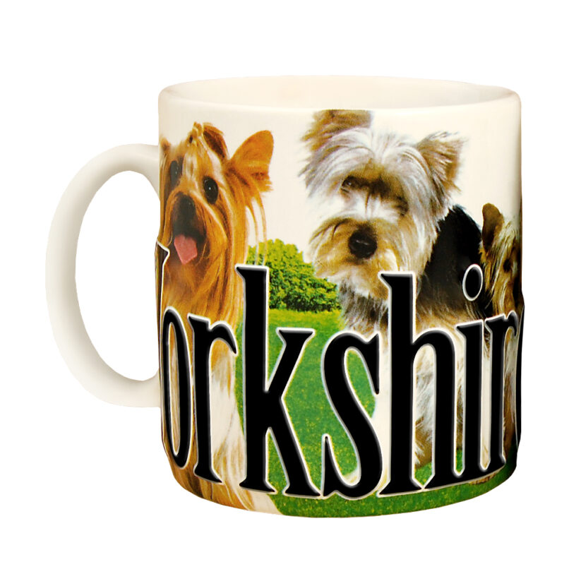 Yorkshire Color Relief Mug