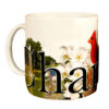 Charlotte Color Relief Mug front side
