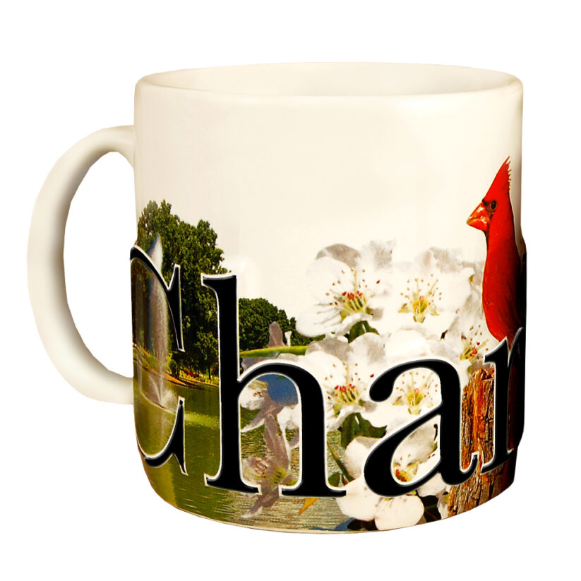 Charlotte Color Relief Mug front side