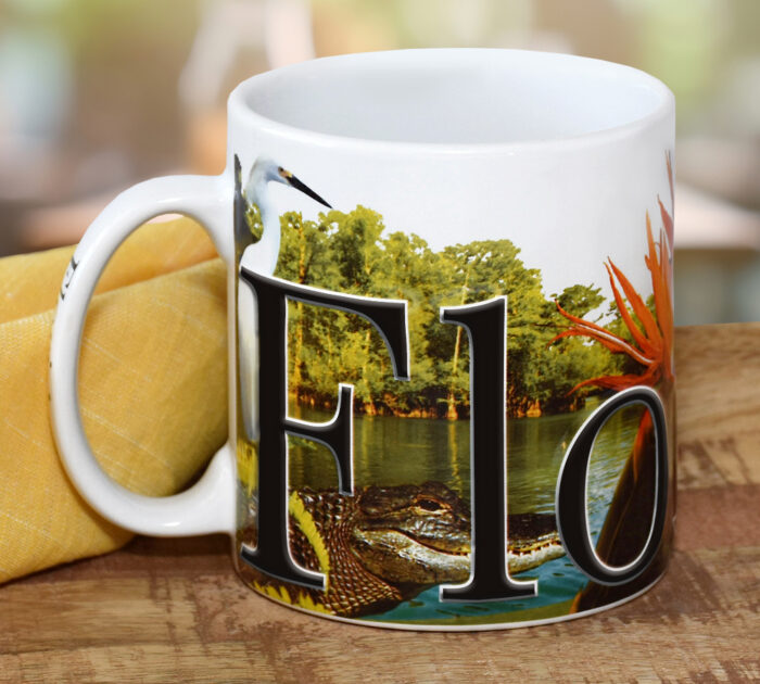 Florida Color Relief Mug