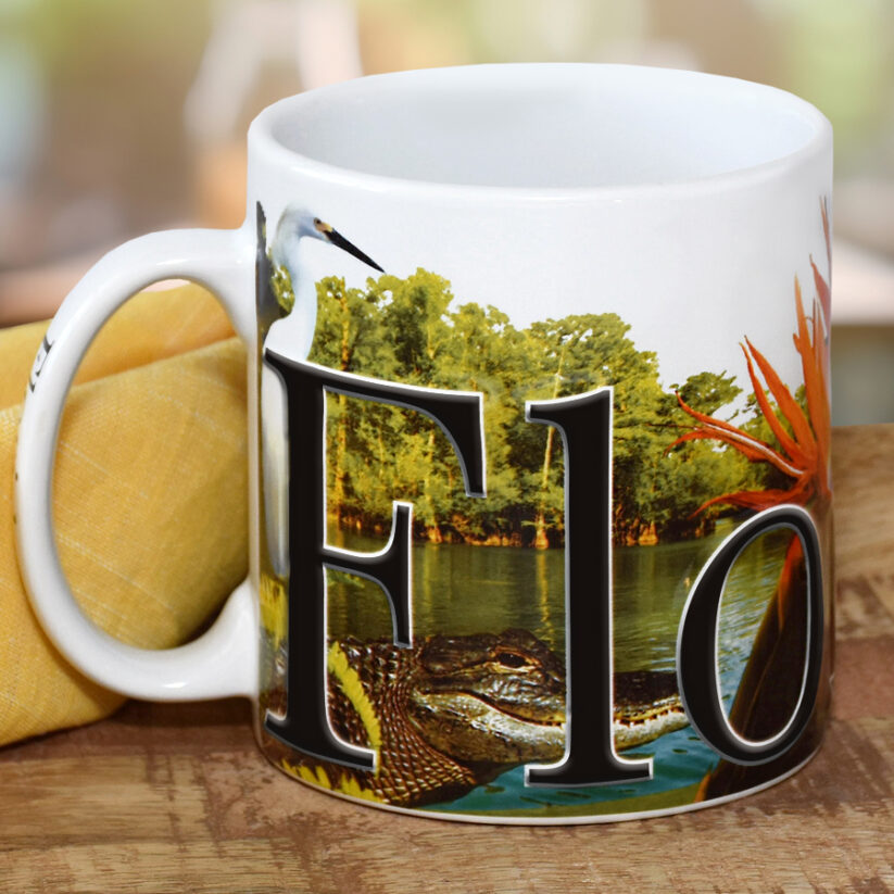 Florida Color Relief Mug