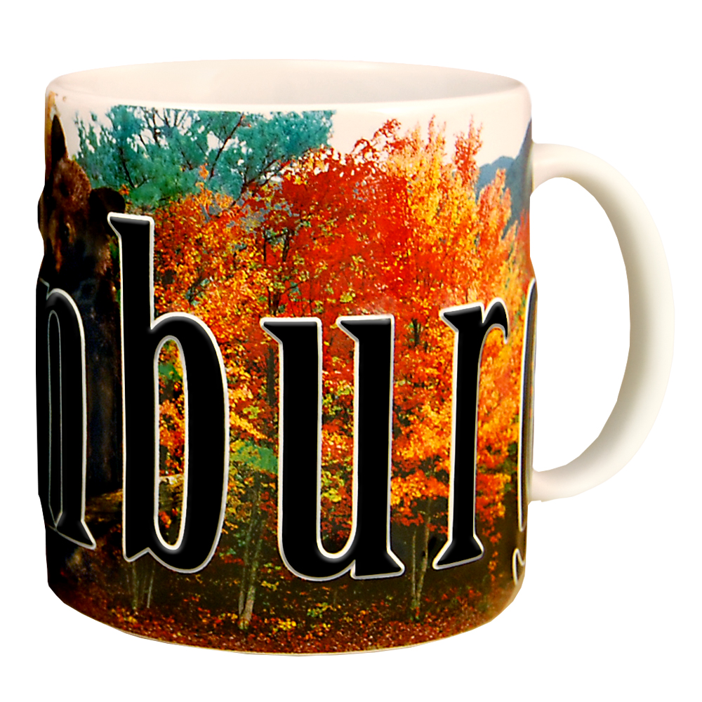Gatlinburg Color Relief Mug - Image 2
