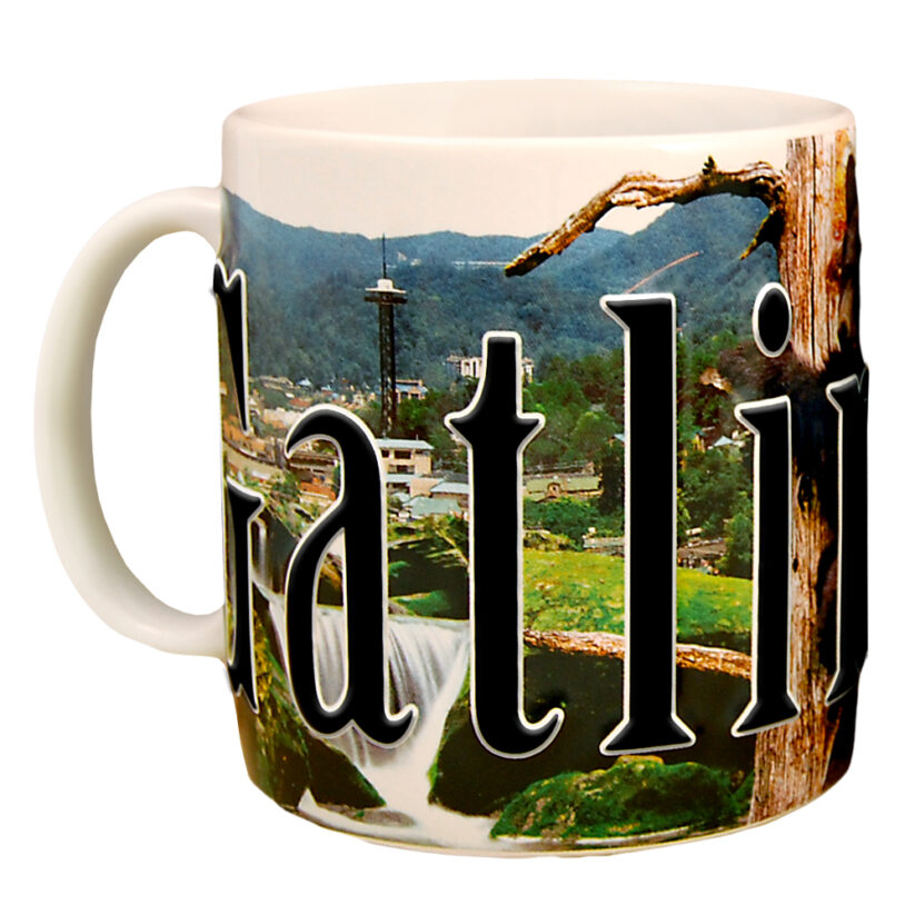 Gatlinburg Color Relief Mug