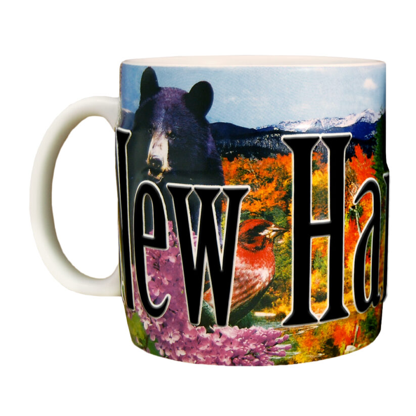 New Hampshire Color Relief Mug