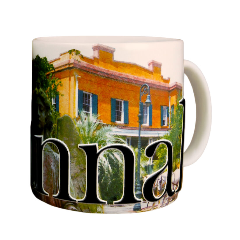 Alternative view of Savannah Color Relief Mug