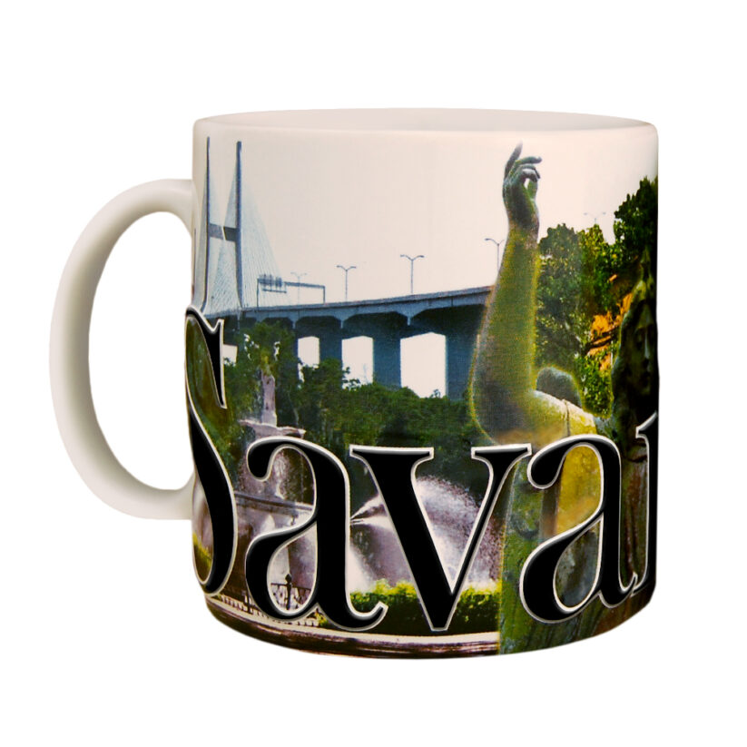 Savannah Color Relief Mug