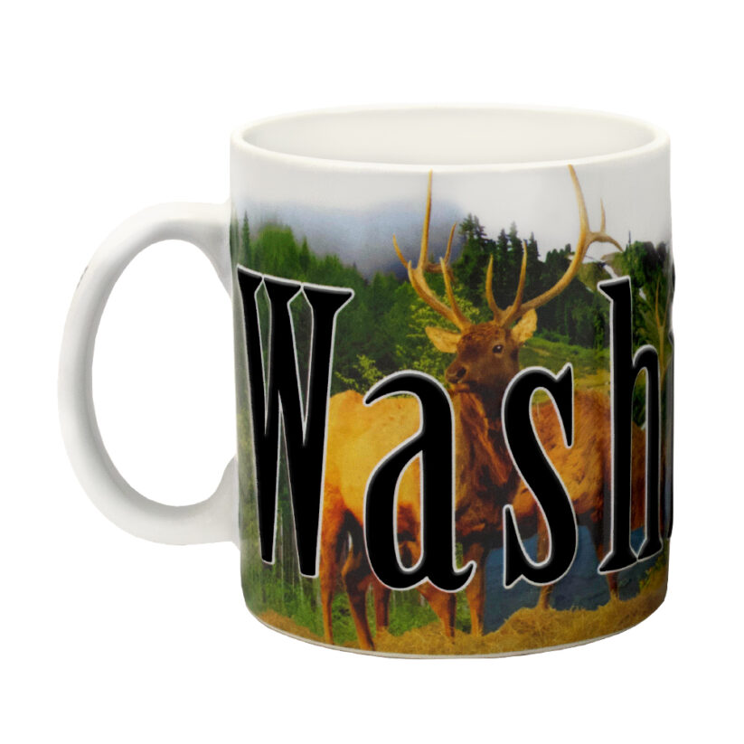 Washington Color Relief Mug