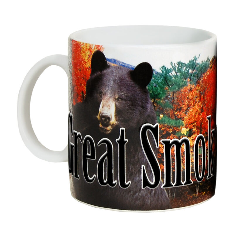 Great Smoky Mountain Color Relief Mug