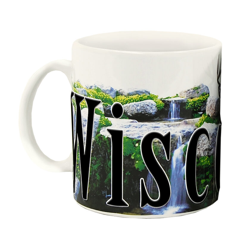 Wisconsin Color Relief Mug