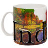 Indiana Color Relief Mug
