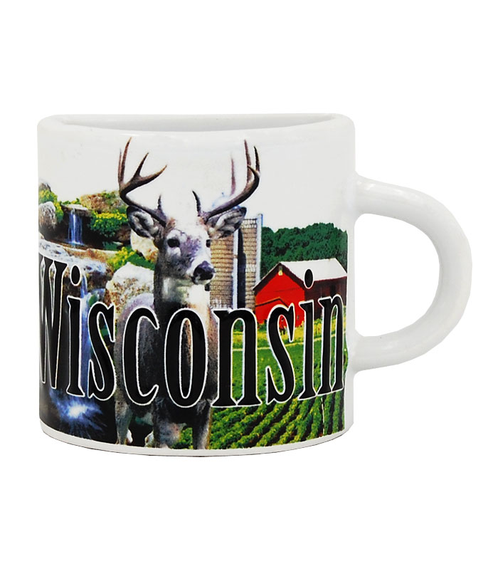 Wisconsin Mug Magnet