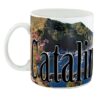 Catalina Island Color Relief Mug - Front Side