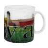 Iowa Color Relie Mug back side