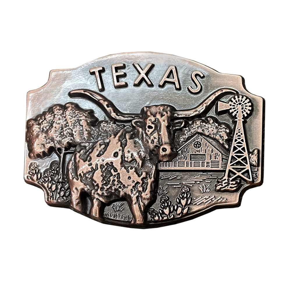 Texas Medallion Magnet