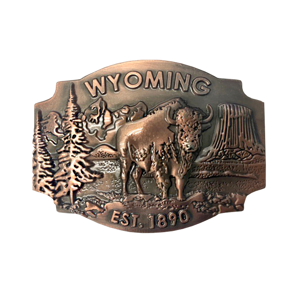 Wyoming Medallion Magnet