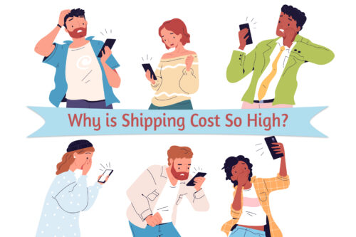 Why is shipping cost so high