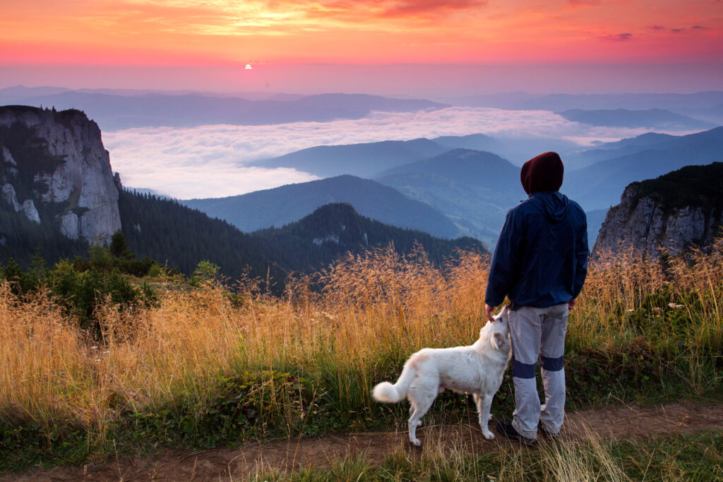 Guy and dog watching sunset